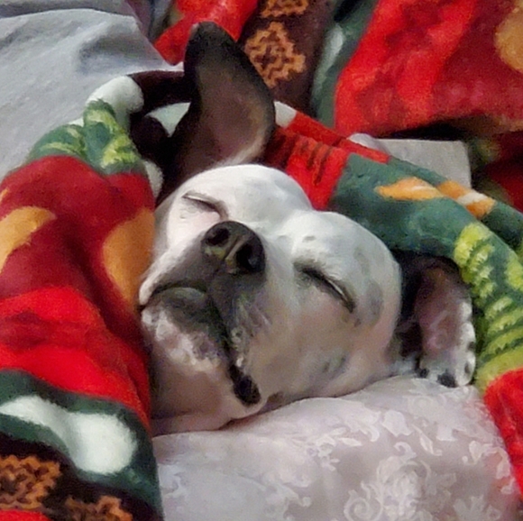 Meet your Posher, Tiff - Picture 12 of 16